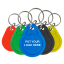 TAG-RFID-WR-C300